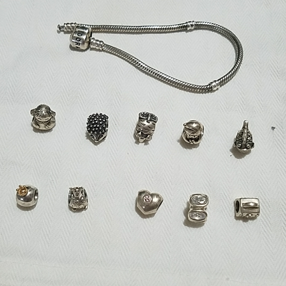 Pandora Bracelet Charms